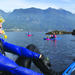 Vancouver Snorkel and Kayak Adventure: Snorkel with Seals