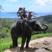Elephant Trek and ATV Ride in Phuket