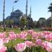 3-Hour Istanbul Express Walking Tour