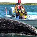 2-Day Tour: Intimate Gray Whale Watching Experience in Magdalena Bay