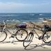 Porto Bike Rental