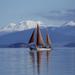 Great Lake Taupo Maori Rock Carvings Sail Trip