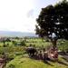 Private: Cycling to a Vineyard to enjoy Sunset and Wine from Inle Lake