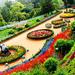 3-Night Ooty Private Luxurious Tour from Coimbatore