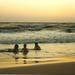 5-Night Beach and Historical Tour of South India 