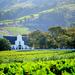 Private Constantia Wine Tour from Cape Town