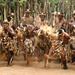 Shakaland Zulu Experience Private Day Tour from Durban