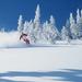 Demo Ski Rental Package from Jackson Hole