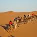 2-Day Zagora Desert Tour from Marrakech