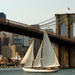 Champagne Brunch Sail in New York City