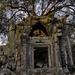 Day Trip to Beng Mealea Temple and Kampong Khleang from Siem Reap