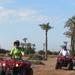 4-Hour Excursion from Marrakech to the Palm Grove 