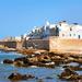 Atlantic Coast Excursion to Essaouira from Marrakech