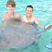 Punta Cana Shark and Stingray Encounter by Glass Bottom Boat