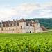 Small-Group Côte de Nuits Burgundy Wine Tour from Beaune 