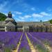Small-Group Highlights of Provence Tour with Calissons d'Aix Tasting