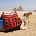 Private-Day tour to Giza Pyramids, Alabaster Mosque and Hanging Church From Cairo 