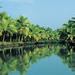 7-Day Tour: Spice Lands of Kerala from Kochi