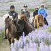 Full Day Horse Riding and Glacier River Rafting from Reykjavik