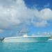 St Maarten Sightseeing Cruise and Snorkeling Run