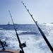 Private Punta Cana Half-Day Deep Sea Fishing Charter