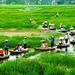 Day Trip to Hoa Lu, Tam Coc and Bich Dong from Hanoi