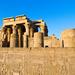 Private Day Trip to Edfu and Kom Ombo from Luxor