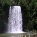 Atherton Tablelands Waterfalls Day Trip from Cairns