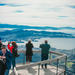 Highlights of Hobart Tour including Bonorong Wildlife Sanctuary and Mt Wellington