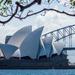 Sydney Landscapes and Travel Photography Guided Walking Tour