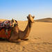 Desert Safari: Wahiba Sands and Wadi Bani Khalid from Muscat