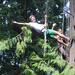 Canopy Tree Climbing on Bainbridge Island