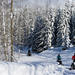 Callaghan Valley Winter Snowmobile Tour