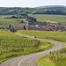 Alsace Wine Route: Half-Day Tasting Tour from Strasbourg