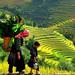 2-Night Sapa Tour from Hanoi