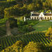 Private Constantia Wine Tour from Cape Town