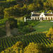 Private Half Day Wine Tour from Cape Town