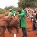 Half-Day Giraffe Centre and Baby Elephant Tour From Nairobi 