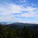 Mount Tamalpais Views and Redwoods Hike