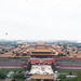 Private Beijing Sightseeing Tour: Forbidden City and Tian'anmen Square