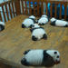 Private Chengdu Experience Tour including Giant Pandas and the Sanxingdui Museum