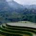 Private Tour of Dragon's Backbone Rice Terraces in Longsheng