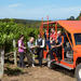 Voyager Estate Winery Tour and Tasting with Optional 3-Course Lunch or 6-Course Vineyard-to-Table Experience