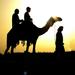 Heritage and Adventure safari with Camel Trek From Dubai 