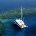 Great Barrier Reef Snorkel and Dive Cruise from Cairns by Luxury Catamaran