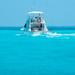 Fishing Tour on the Mexican Caribbean