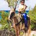 Horseback Riding Tour at Punta Venado Eco Park