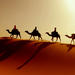 Desert Tour: Wahiba Sands, Wadi Bani and Khalid