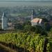 Wine Tasting Tour to Tokaj from Budapest - Heritage of Hungary