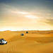 Desert Safari With BBQ Dinner From Dubai: Dune Bashing, Camel Rides, Live Entertainment 